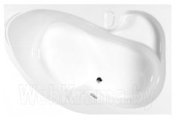 Ванна акриловая ARTEL PLAST Флория 170x105 (с каркасом)